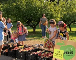Children gather around crates filled with apples under sunny skies. A sign reads "City Fruit," indicating a community fruit-picking event.