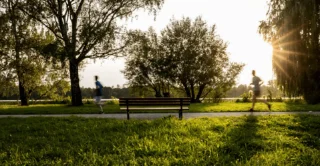 Two people jogging on a sunlit park path beside a bench, with tall trees and greenery creating a serene, warm atmosphere against a bright sky.